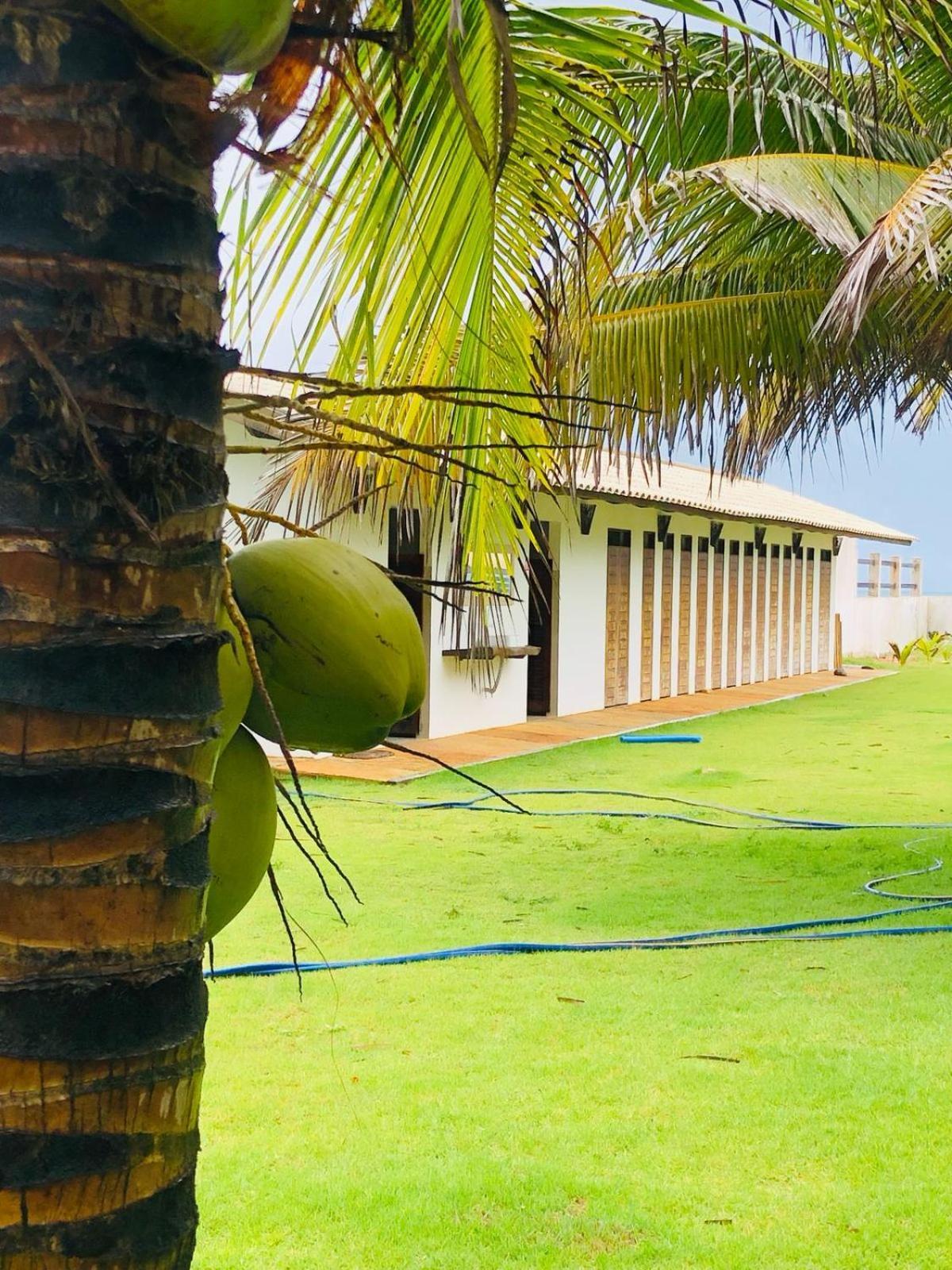Villa Ava Kite - Guajiru トライリ エクステリア 写真